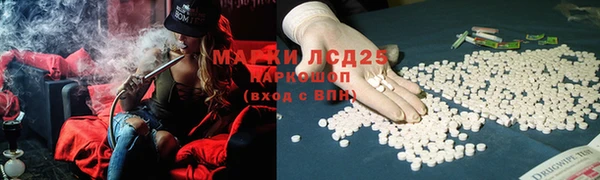 мяу мяу мука Аркадак