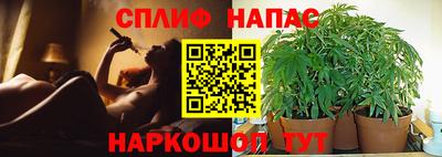 ALPHA PVP Кимры