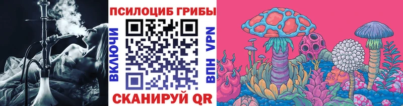 купить наркоту Кубинка Галлюциногенные грибы мицелий