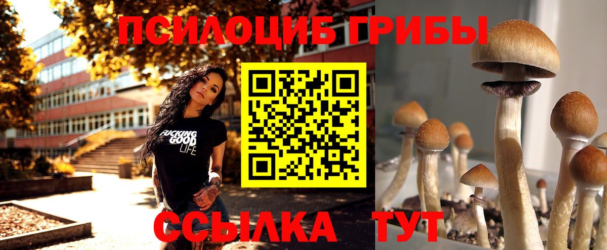 Кубинка  где продают наркотики  Вход с VPN  Галлюциногенные грибы мухоморы  Псилоцибиновые грибы ЛСД 